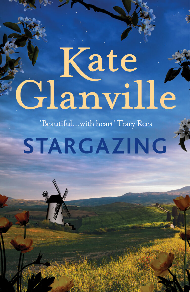 Stargazing book cover, evening meadow with a windmill